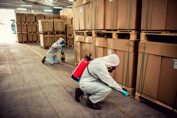 Best Bed Bug Extermination  in Santa Fe Springs, CA