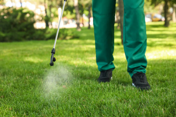Reliable Santa Fe Springs, CA Pest Control Solutions