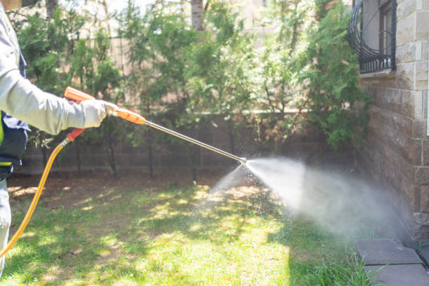 Best Affordable Pest Control Services  in Santa Fe Springs, CA
