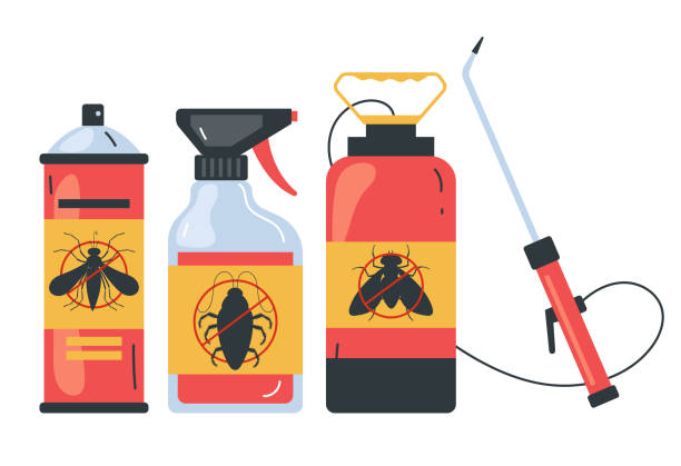 Best Local Pest Control Services  in Santa Fe Springs, CA