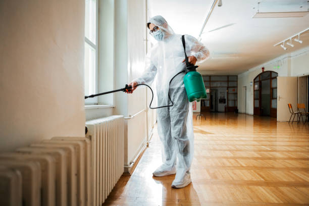 Best Pest Control Near Me in Santa Fe Springs, CA
