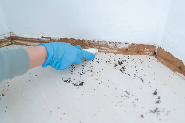 Best Wildlife Control Services  in Santa Fe Springs, CA