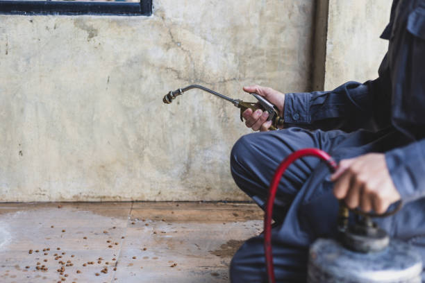 Best Commercial Pest Control Services  in Santa Fe Springs, CA